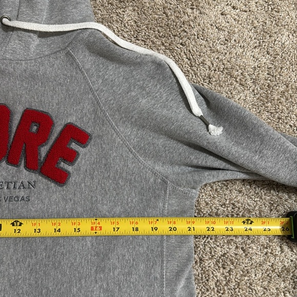 Gray Hoodie Dress with Red 'AMORE' Text - Picture 3 of 7